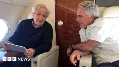 Epstein asked Chomsky for advice over 'putrid' media coverage, files show