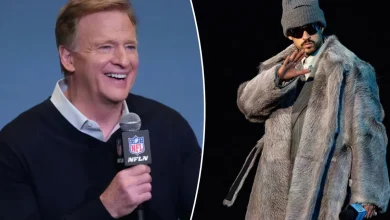 Everything in Roger Goodell's NFL is designed to make you feel sick