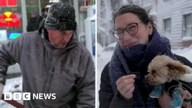 'Exciting' or 'frustrating'? - US East Coast locals and tourists react to record snow
