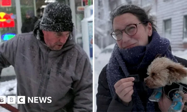 'Exciting' or 'frustrating'? - US East Coast locals and tourists react to record snow