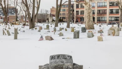 Extreme cold warning in Philadelphia: When will snow melt?