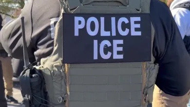 Federal attorney on ICE cases: ‘The system sucks’
