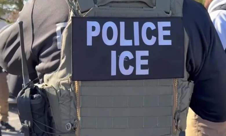 Federal attorney on ICE cases: ‘The system sucks’