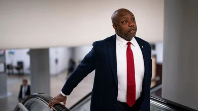 Fed's Powell Committed No Crime in Testimony, GOP's Tim Scott Says