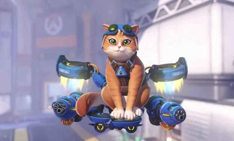 Fika the Jetpack Cat enters Overwatch: All abilities and details