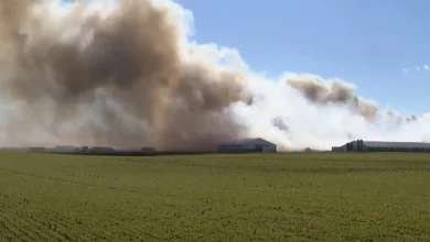 Fire at Ohio farm complex kills about 6,000 hogs