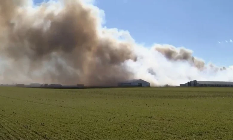 Fire at Ohio farm complex kills about 6,000 hogs