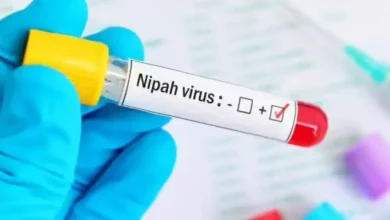 First Nipah Virus Death Reported In Bengal, But No New Cases Emerge