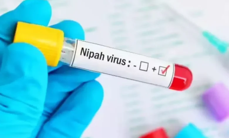 First Nipah Virus Death Reported In Bengal, But No New Cases Emerge