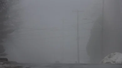 Fog expected to bring near zero visibility this evening and overnight