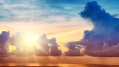 Foggy Morning and Chilly Day Forecast for Toronto Tomorrow (Feb 17)