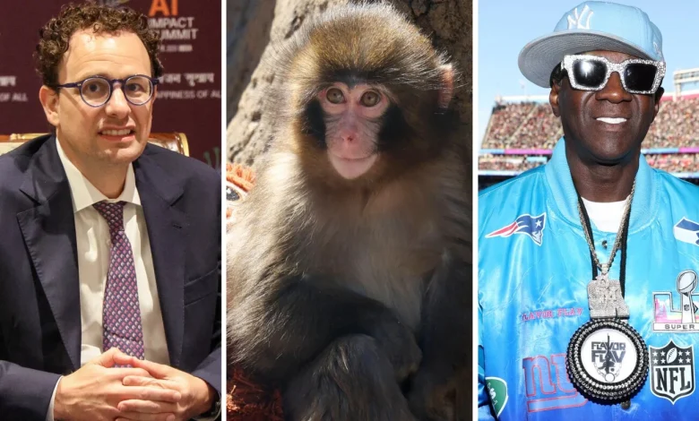 Forget the State of the Union. What's the state of your quiz score?