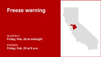 Freeze warning for Carquinez Strait and Delta and Northern San Joaquin Valley for Friday