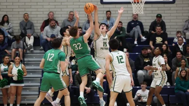 Friday's IHSA regional final basketball scores