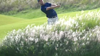 From Mauritius to Masters