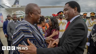 Fugu feud: Zambians and Ghanaians clash on social media over president's outfit