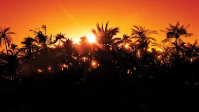 Fun PS5 Games Collection 75% Off Ahead of Permanent Delisting