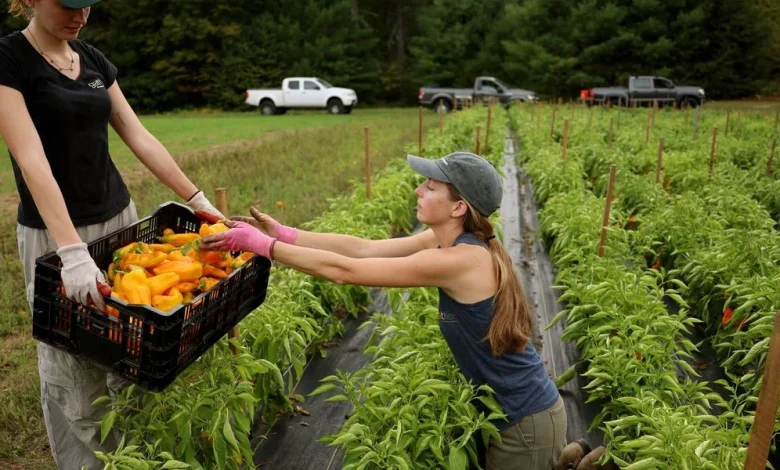 GOP Ripped for 'Grotesque' Farm Bill Full of 'Industry-Backed Poison Pills'