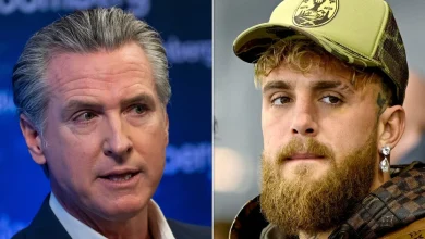 Gavin Newsom Slams Trump Loving Boxer As Snowflake