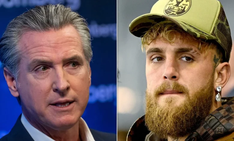 Gavin Newsom Slams Trump Loving Boxer As Snowflake