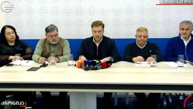 Georgian Dream satellite calls for EU integration debate