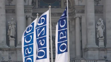 Georgian Leaders Criticize OSCE Moscow Mechanism Activation, Tensions Rise with Sweden and the West