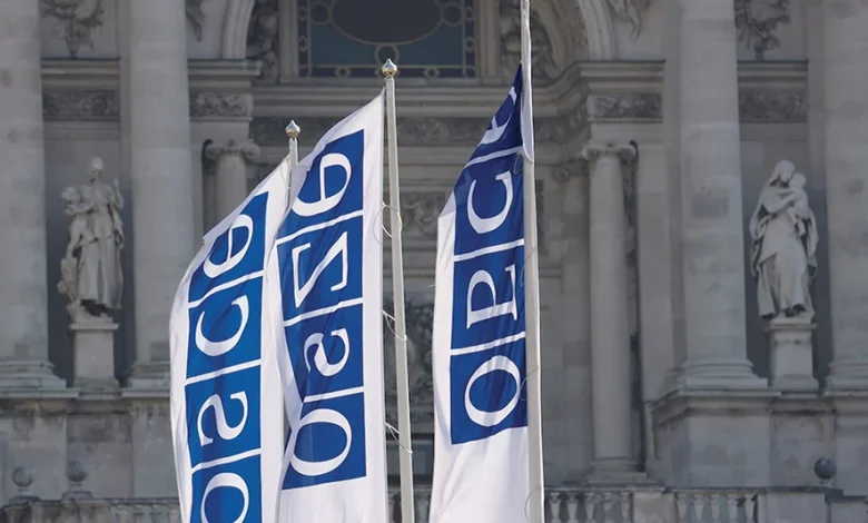 Georgian Leaders Criticize OSCE Moscow Mechanism Activation, Tensions Rise with Sweden and the West