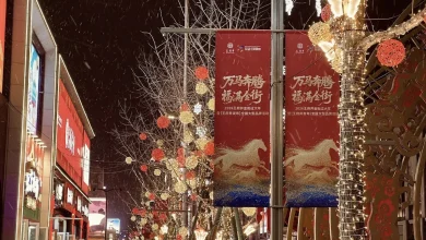 Gold, stablecoins and Hong Kong’s market reality