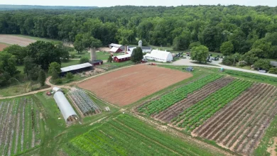 Gov. Spanberger announces $4.9M into Virginia’s food supply chain