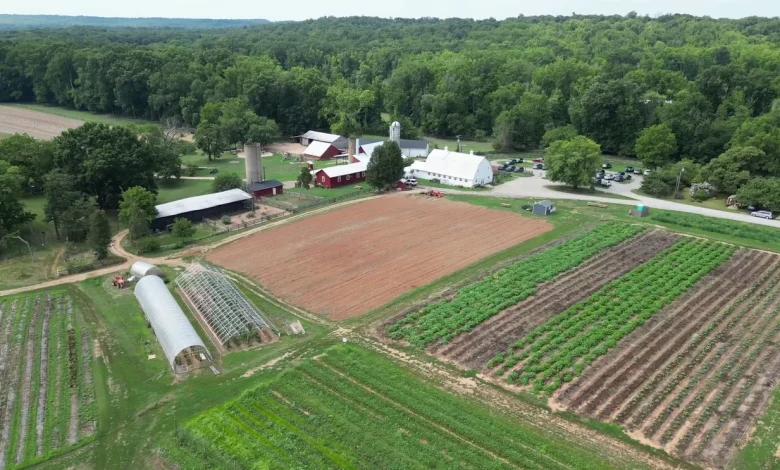 Gov. Spanberger announces $4.9M into Virginia’s food supply chain