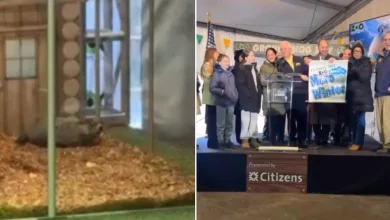 Groundhog Day 2026: NYC's Staten Island Chuck sees his shadow, predicting 6 more weeks of winter