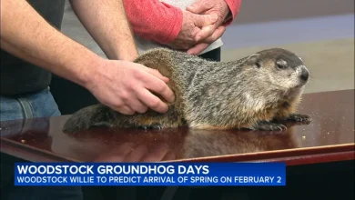 Groundhog Day 2026: Will Woodstock Willie see his shadow on Groundhog Day? | LIVE