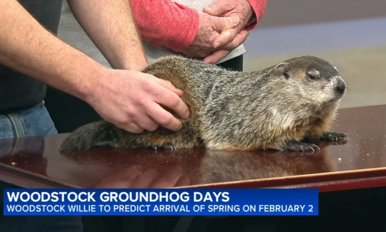 Groundhog Day 2026: Will Woodstock Willie see his shadow on Groundhog Day? | LIVE