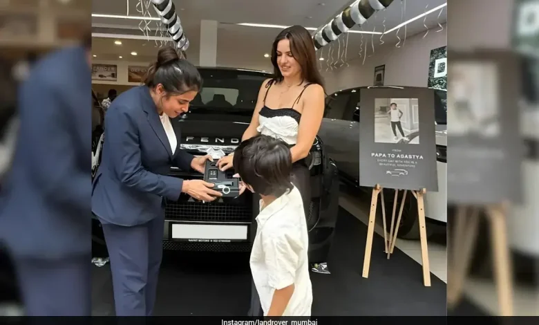 Hardik Pandya's Rs 4 Crore Gift For Ex-Wife Natasa Stankovic, Son Agastya Stumps Fans