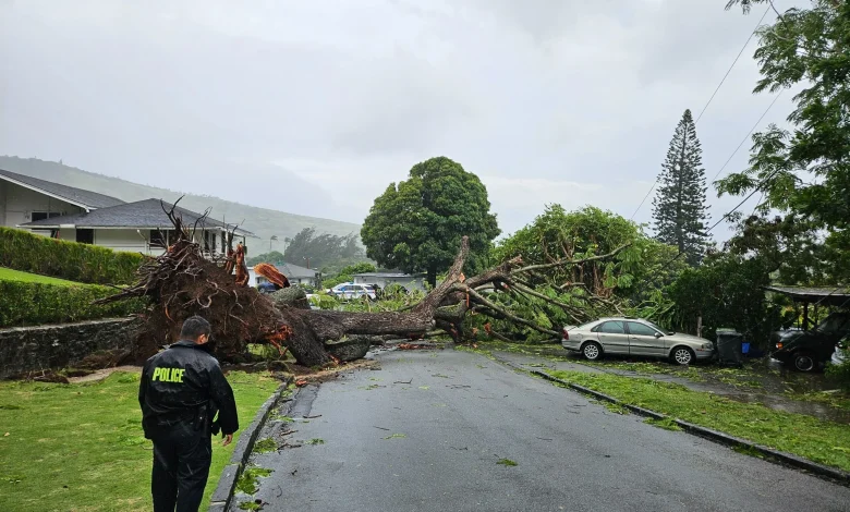 Hawaiʻi Storm Latest: State Shuts Down, 1,000s Lose Power