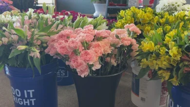 Higher flower costs push Redding shops to offer budget blooms and urge buying local