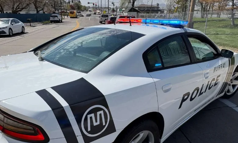 Homeless man charged with digging hole under overpass arrested again for same crime