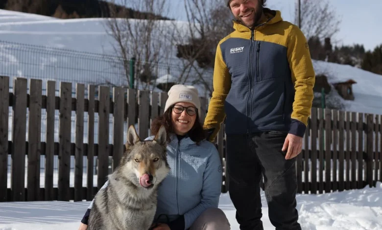 How Nazgul the wolfdog made his run for Winter O : NPR