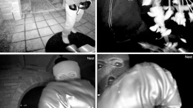 How investigators found surveillance video at home of Savannah Guthrie's missing mother