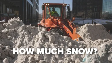 How much snow from winter blizzard 2/22/26: Snowfall totals from NYC, NY, NJ and CT