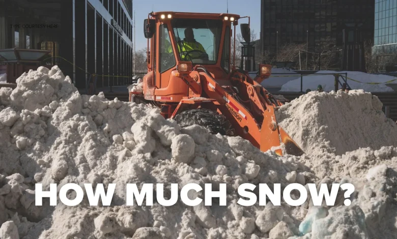 How much snow from winter blizzard 2/22/26: Snowfall totals from NYC, NY, NJ and CT