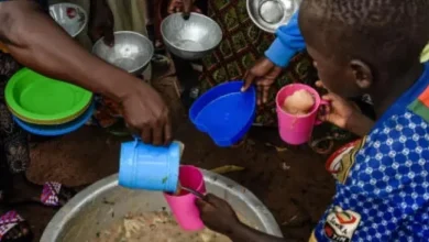 How natural language processing and AI can help policymakers address global food insecurity