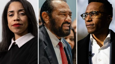 How the politics of succession are playing out in Houston