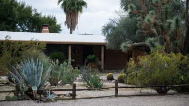 How the use of AI and 'deepfakes' play a role in the search for Nancy Guthrie : NPR