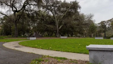 How to keep the novelty of UC Berkeley alive