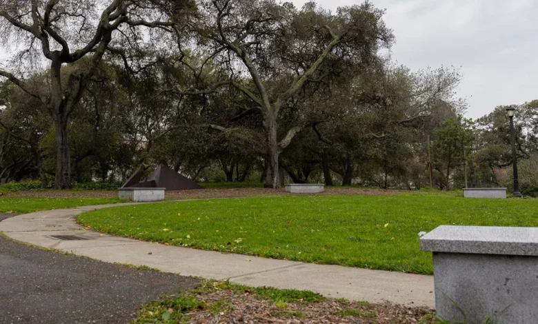How to keep the novelty of UC Berkeley alive