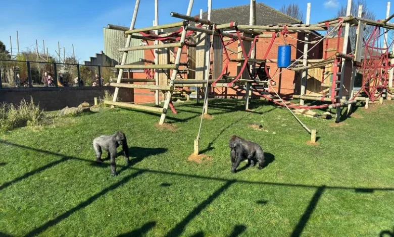 I took my family to this lesser-known zoo just 30 minutes from Birmingham and we can't wait to go back