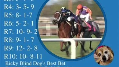 IHipica TV: Turf Paradise Races Live Streamed