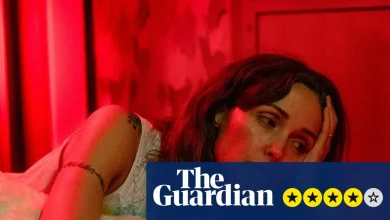 If I Had Legs I’d Kick You review – Rose Byrne is tremendous as therapist in meltdown in pitch-black horror-comedy