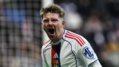 "Il peut marquer 20 buts" : Sulc, l'affaire en or de l'OL
